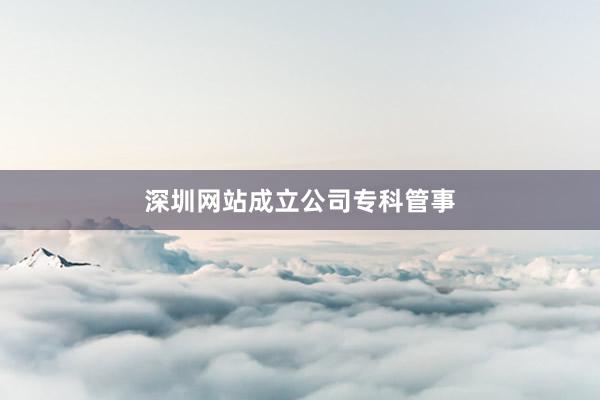 深圳网站成立公司专科管事